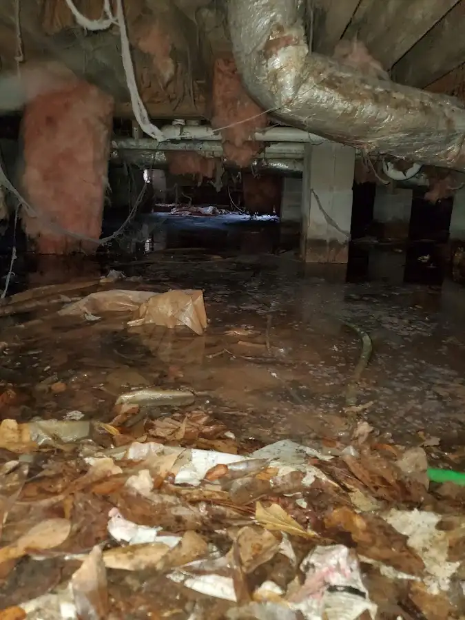 Crawl space flood assessment for Leak Detection & Repair in West Richland